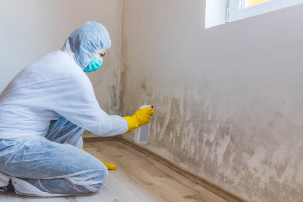 Mold Remediation specialist working in Somerdale