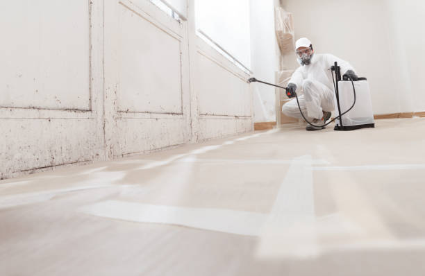 Post-remediation clearance in Somerdale